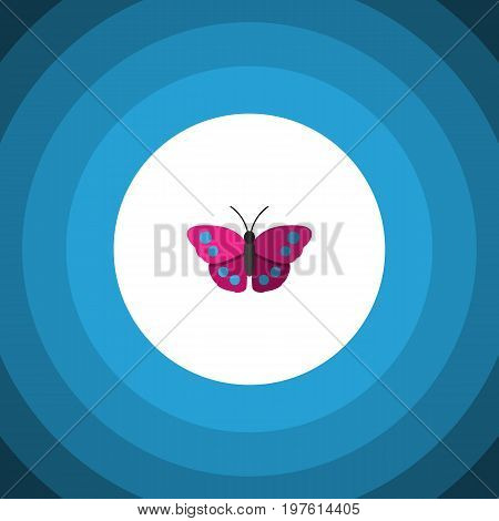 Archippus Vector Element Can Be Used For Archippus, Butterfly, Monarch Design Concept.  Isolated Violet Wing Flat Icon.
