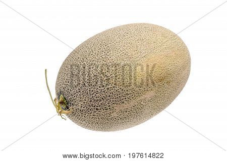 Hamigua melon (sweet cantaloupe melon) isolated on white background.