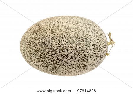 Hamigua melon (sweet cantaloupe melon) isolated on white background.