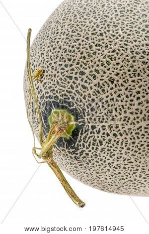 Close up the top of Hamigua melon (sweet cantaloupe melon) isolated on white background.