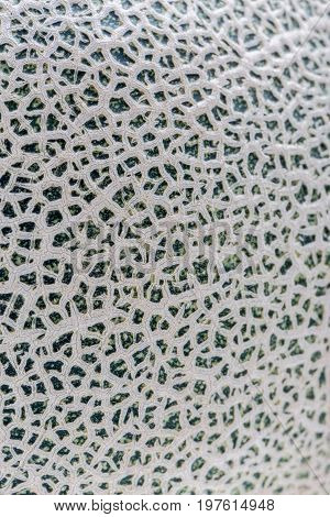 Detail texture of Hamigua melon skin (sweet cantaloupe melon) isolated on white background.