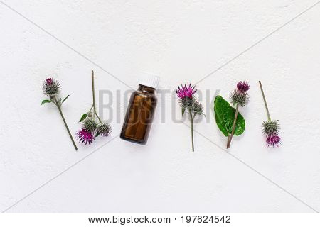 flat lay burdock Essential oil In small bottle. Spikes of flowers and leaves on a white background.