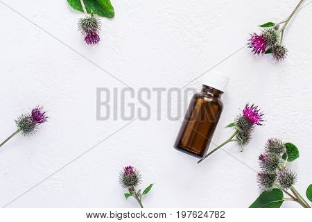 flat lay burdock Essential oil In small bottle. Spikes of flowers and leaves on a white background.