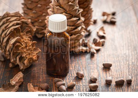 Essential Cedar Oil in a small bottle selective focus.