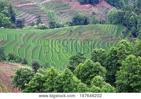 Village Over Terraced Rice Fields In Yuanyang, Yunnan, China