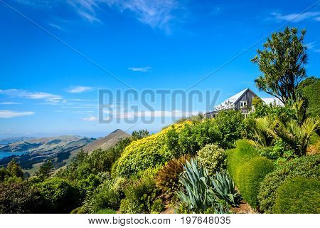 The Gardens of Larnach Castle Dunedin New Zealand