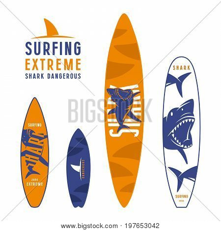 Surfboard Graphic Design With The Image Of Sharks