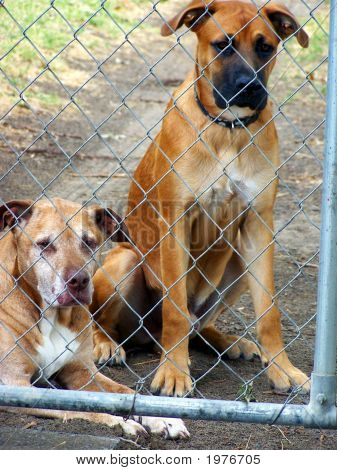Men vi ønsker at gå
