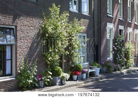 Cozy street with flowers in Buren in the Netherlands