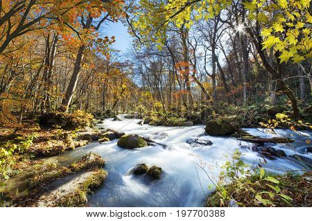 Oirase Gorge Beautiful River Druing The Autumn Season, Japan
