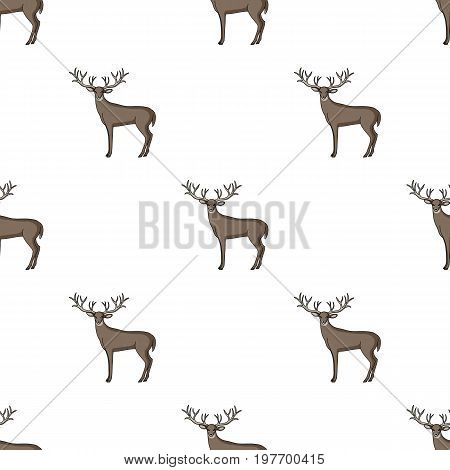 Deer with big horns.Animals single icon in cartoon style vector symbol stock illustration .