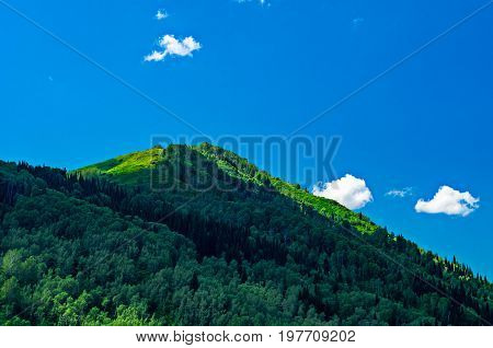 Blue sky white clouds green Altai Mountains at noon Ridder Kazakhstan