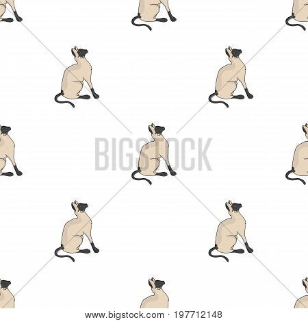 Siamese icon in cartoon design isolated on white background. Cat breeds symbol stock vector illustration.