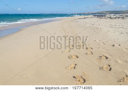 Foot Prints In Pessegueiro Beach In Porto Covo
