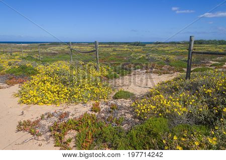 Farm Gate In Vila Nova De Milfontes