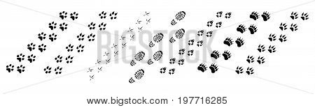Animal Footprints Vector