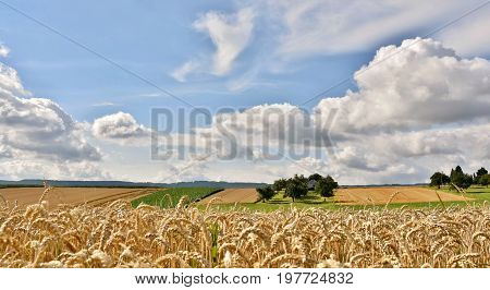 Landscape with fields and blue sky on a summers day