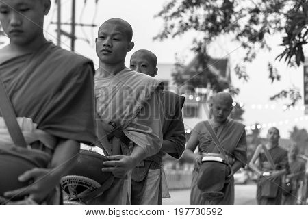 LUANG PRABANG LAOS - MARCH 12 2017: Black and white picture of young monks going in line to Buddhist Alms Giving Ceremony where local people offers food and money before the sunrise in Luang Prabang Laos.