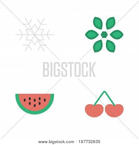 Elements Blossom, Melon, Berry And Other Synonyms Snowflake, Melon And Snow.  Vector Illustration Set Of Simple Garden Icons.