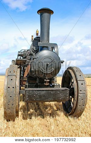 vintage Steam Traction engine in a field