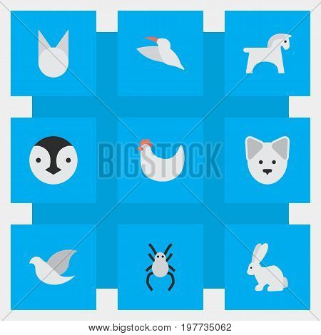 Elements Cock, Hare, Pigeon And Other Synonyms Hen, Widow And Hare.  Vector Illustration Set Of Simple Fauna Icons.