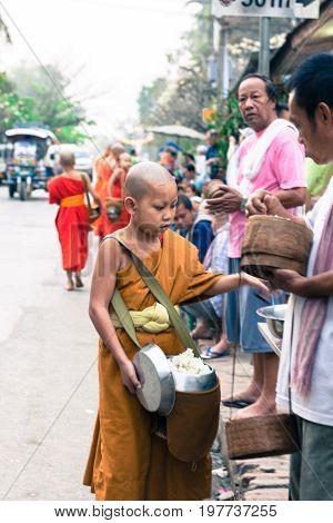 LUANG PRABANG LAOS - MARCH 12 2017: Vertical picture of young monk receiving foof for the Buddhist Alms Giving Ceremony in Luang Prabang Laos.
