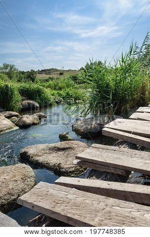 Countryside river landscape in summer. Reed on the river.