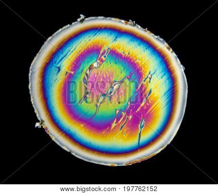 microscopic shot of urea micro crystals in polarized light