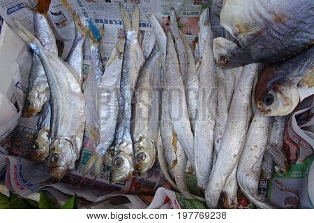 HONG KONG, CHINA - JANUARY 26, 2017: Fresh fish over a newspaper in a market in fishermen town in lantau, Hong Kong, China.