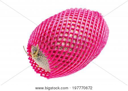 Hamigua melon (sweet cantaloupe melon) in red net foam protection isolated on white background.