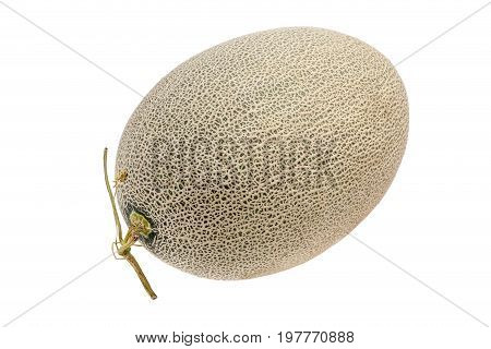 Hamigua melon (sweet cantaloupe melon) isolated on white background.