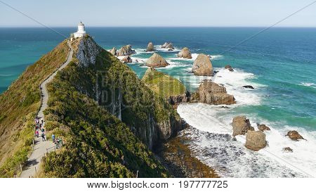 Nugget point. Rock Cliffs in the South of New Zealand