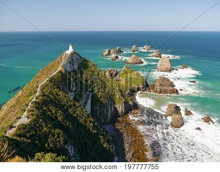 Nugget point. Rock Cliffs in the South of New Zealand
