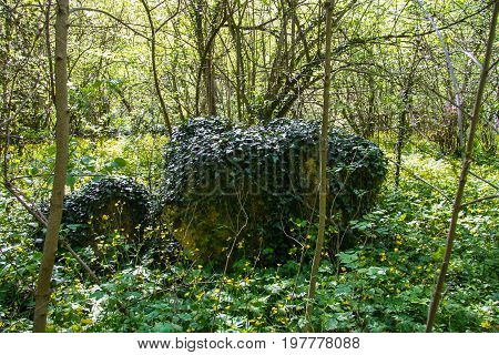 The Vicinities Of The Mangush Plateau