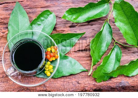 bai-ya-nang juice(thai name) thai herb (Tiliacora triandra)