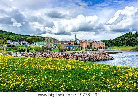 La Malbaie Canada - June 2 2017: Saint Lawrence river town cityscape skyline in Charlevoix region in Quebec with dandelion yellow flowers