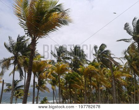 This is a beach of the Caribbean, known as Puerto Cabello, located in the Venezuelan Caribbean