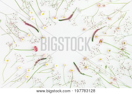 Flowers composition. Floral frame made of pink gypsophila flowers and daisy flowers on white background. Flat lay top view copy space