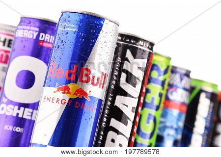 Cans Of Assorted Global Energy Drink Products