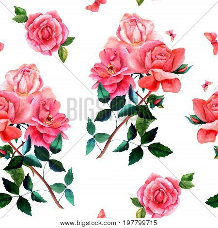 Seamless background pattern with watercolor drawings of red and pink rose flowers and butterflies, on white, hand painted in style of vintage botanical art. A romantic botanical bouquet repeat print
