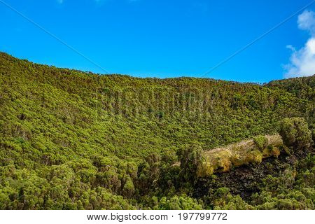 Blue sky and volcanic crater with fluor green vegetation