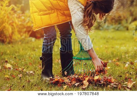 happy child girl playing little gardener in autumn and picking leaves into basket. Seasonal garden work. Backyard cleaning.