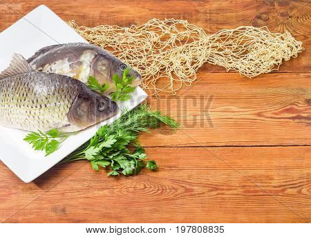 Fragment of the white square dish with common carp and mirror carp with peeled scales and prepared for cooking bunch of dill and parsley part of the fishing net on the old wooden planks