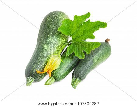 Three fresh dark green zucchini different sizes with leaf and flower on a white background