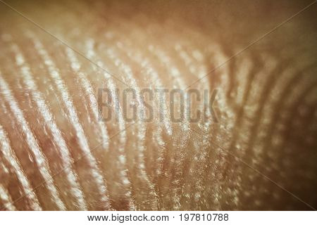Close Up Look At The Patterns Of Human Skin