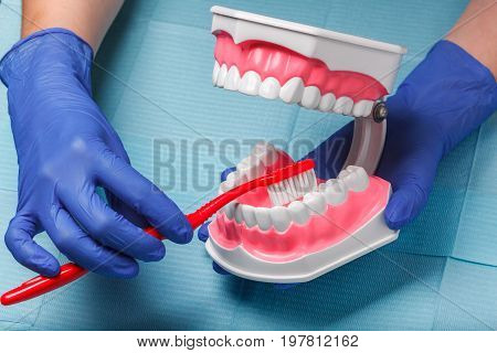dental and endodontic instruments on the napkin. Top view