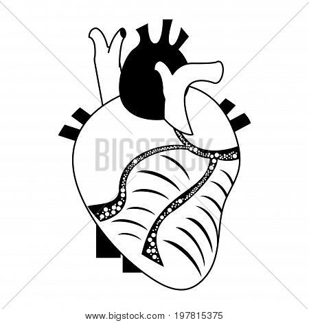 human heart icon image vector illustration design  black and white