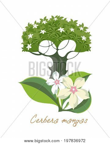 Tropical forest herbs and plants with leaves, flowers. Beautiful cerbera mangas with leaves. Vector illustration isolated on white background.