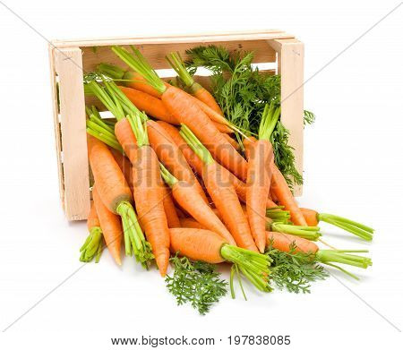 Carrot Roots (daucus Carota Ssp. Sativus) In Wooden Crate