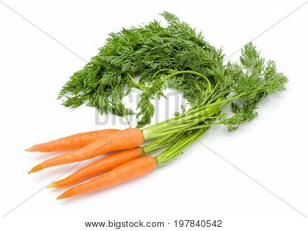 Fresh carrots (Daucus carota ssp. sativus) on white